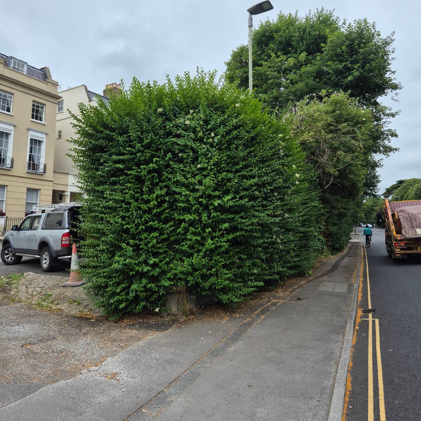 A tall clipped hedge on a town street corner