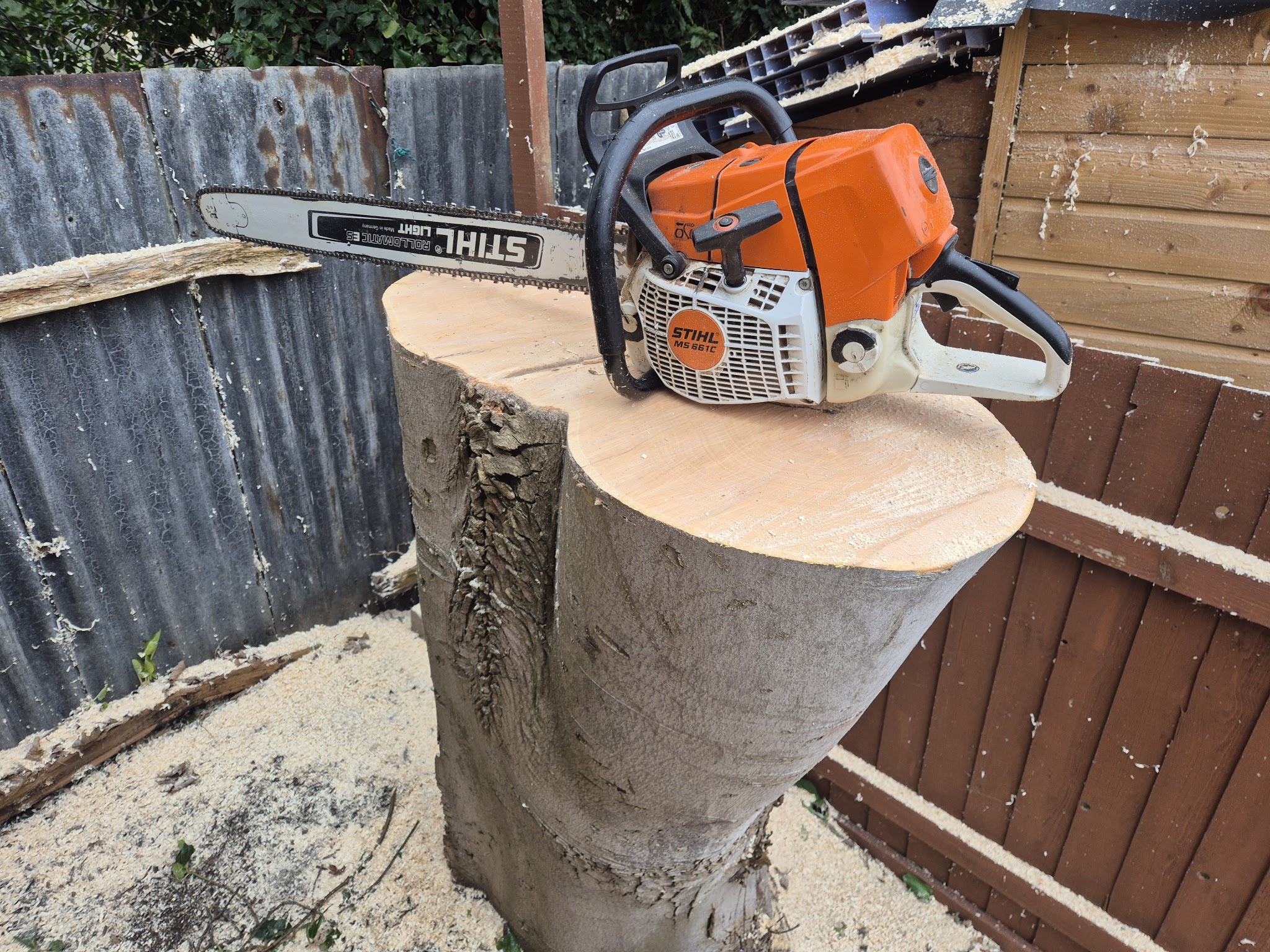 Stihl chainsaw resting on a freshly cut stump