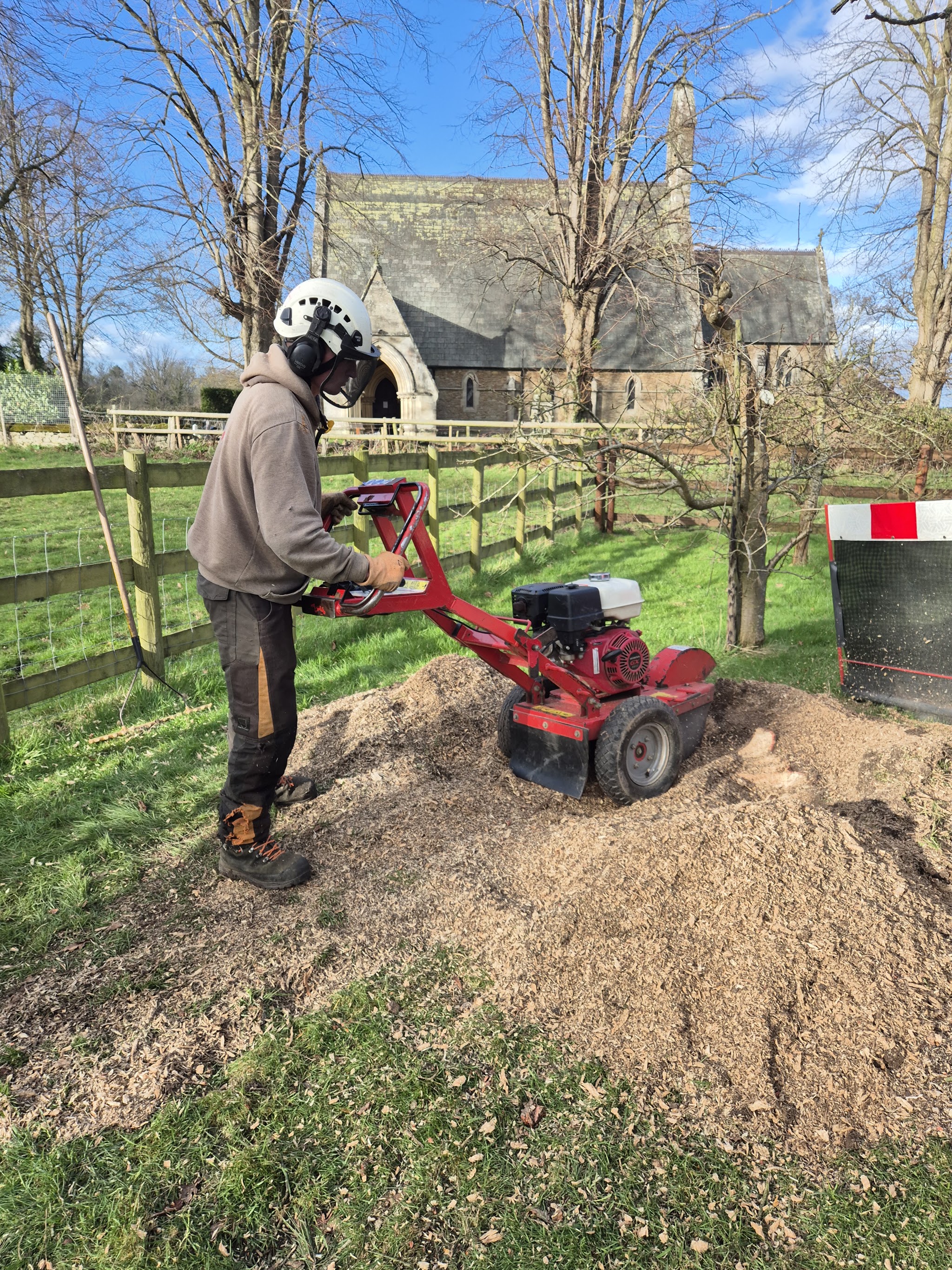 Grinding out a stump with a red stump grinder beside a churchyard