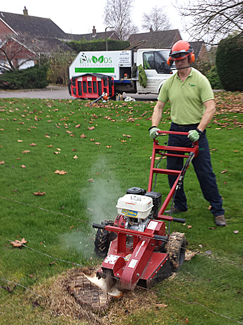 Stump grinder at work on a lawn with the D Woods van behind