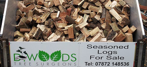 A trailer piled with split logs and the D Woods Seasoned Logs For Sale sign